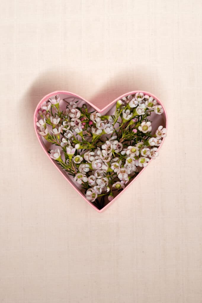 blomster i en hjerteformet boks